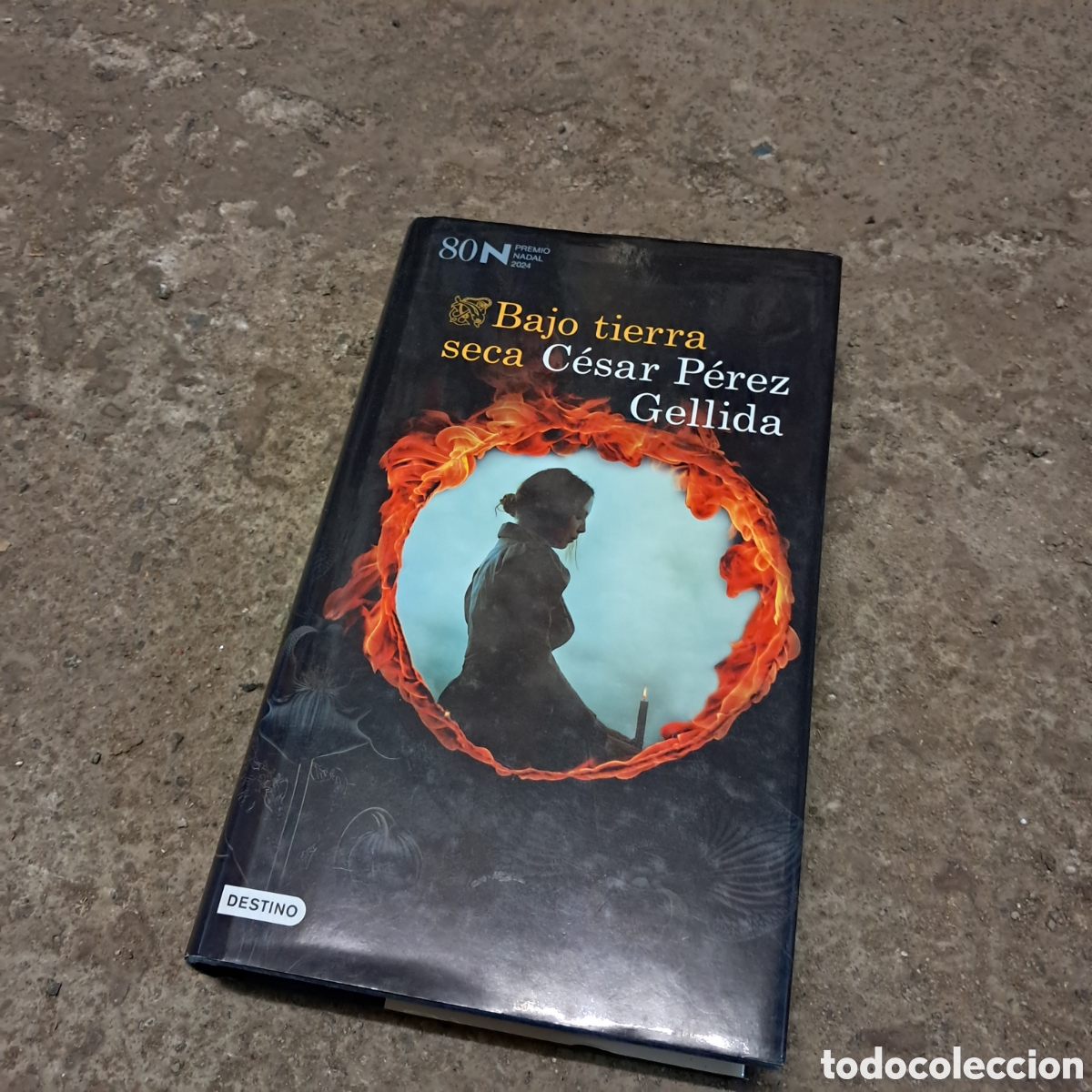 Libros: Cesar P&eacute;rez Gellida, Bajo tierra seca, Destino