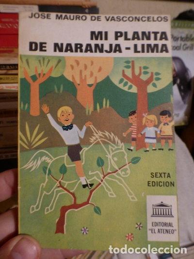 Livros em segunda m&atilde;o: Mi planta de naranja-lima- 9789500283595