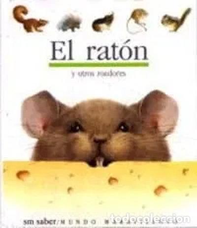 Libri di seconda mano: El rat&oacute;n- 9788434837270