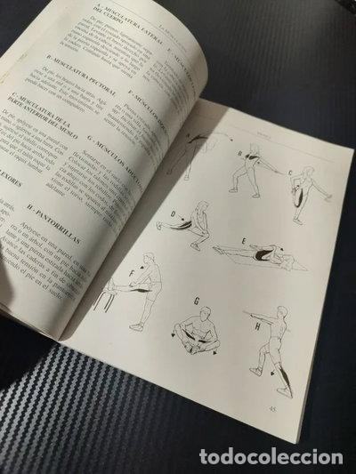 Libros: Musculacion Para Todos Los Deportistas- 9788479020897
