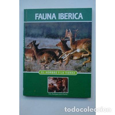 Libros: Fauna Ib&eacute;rica- 9788488063007