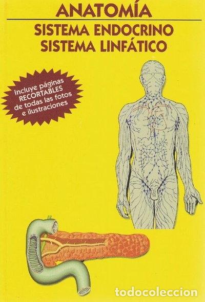 Libros: Anatom&iacute;a. Sistema endocrino - Sistema linf&aacute;tico- 9788489680869
