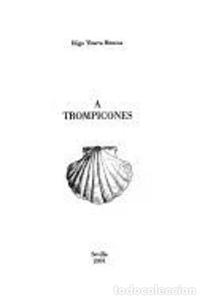 Libros: A trompicones- 9788480930956