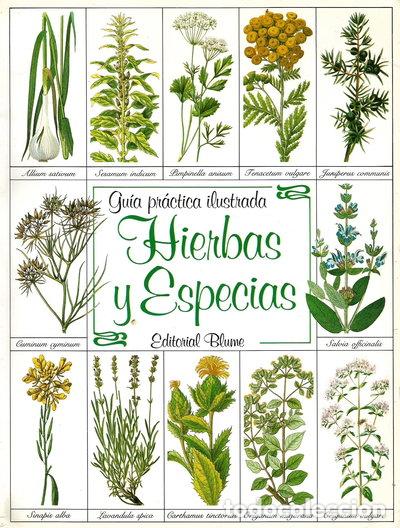Libros: Hierbas y especias- 9788470315152
