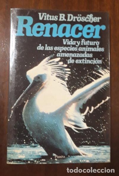Libros: Renacer- 9788432047602