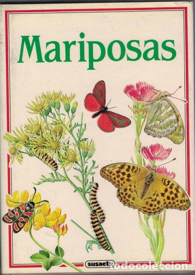 Livres: Mariposas- 9788430597154