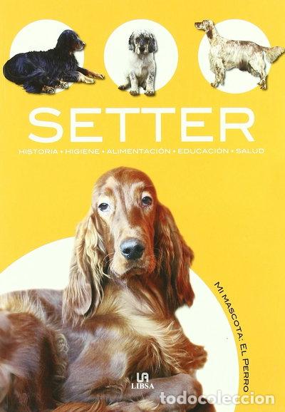Livros em segunda m&atilde;o: Setter- 9788466213134