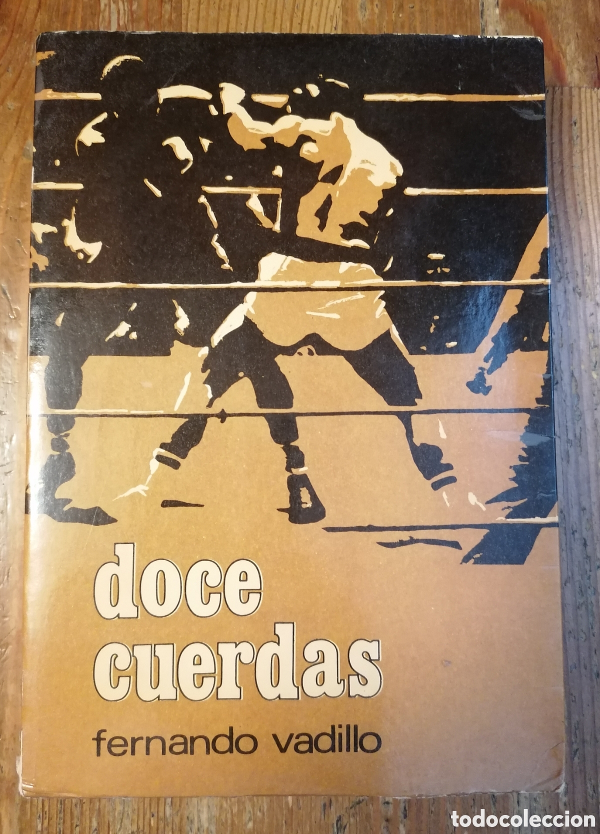 DOCE CUERDAS - Fernando Vadillo