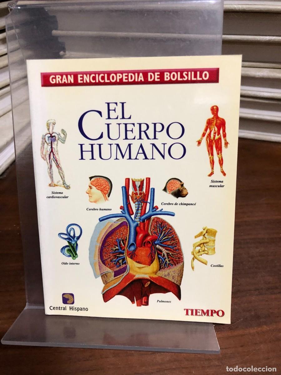 Libros: El cuerpo humano (Gran Enciclopedia de Bolsillo) Ed. Tiempo / Central Hispano