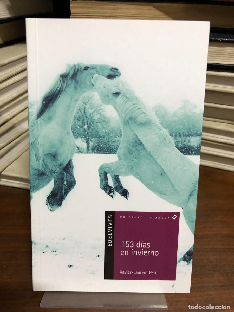 Libros: 153 d&iacute;as en invierno Xavier-Laurent Petit