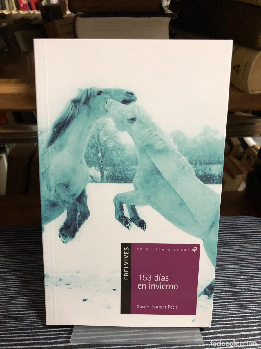 Libros: 153 d&iacute;as en invierno Xavier-Laurent Petit