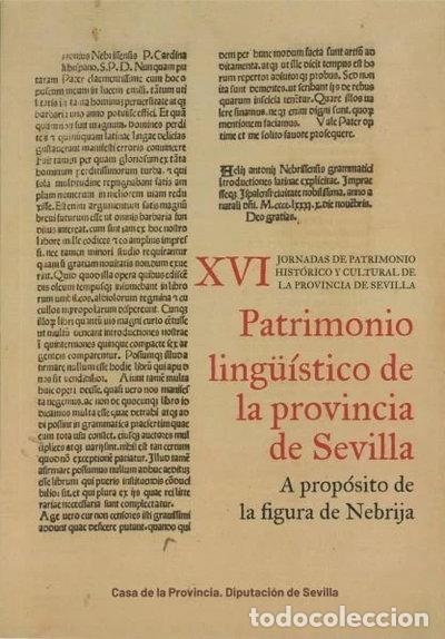Libri di seconda mano: XVI JORNADAS DE PATRIMONIO HISTORICO Y CULTURAL DE LA PROVIN- 9788477985518