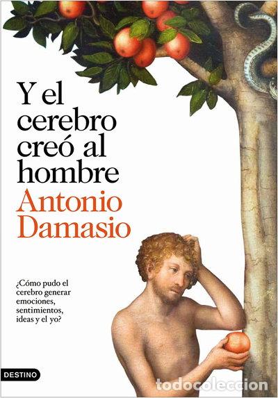 Libros: Y el cerebro cre&oacute; al hombre- 9788423343058