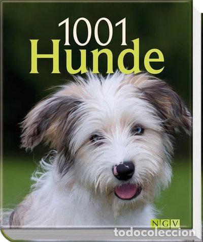 Livros em segunda m&atilde;o: 1001 Hunde- 9783625128113