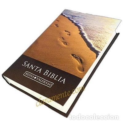 Libros: Biblia Reina-Valera 1960- 9788480832557