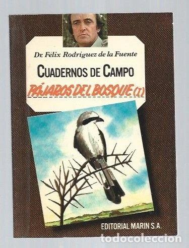 Libri di seconda mano: Cuadernos de Campo, 8. P&aacute;jaros Del Bosque I- 9788471025081