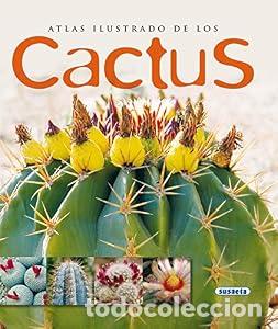 Livros em segunda m&atilde;o: Atlas ilustrado de los cactus - Equipo Susaeta tdk475