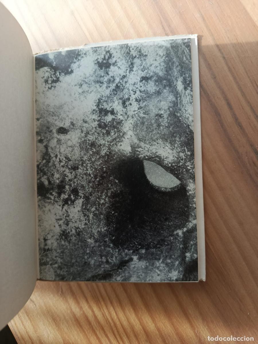 Libros: LA SALIDA - FRANCISCO PINO - Foto 2