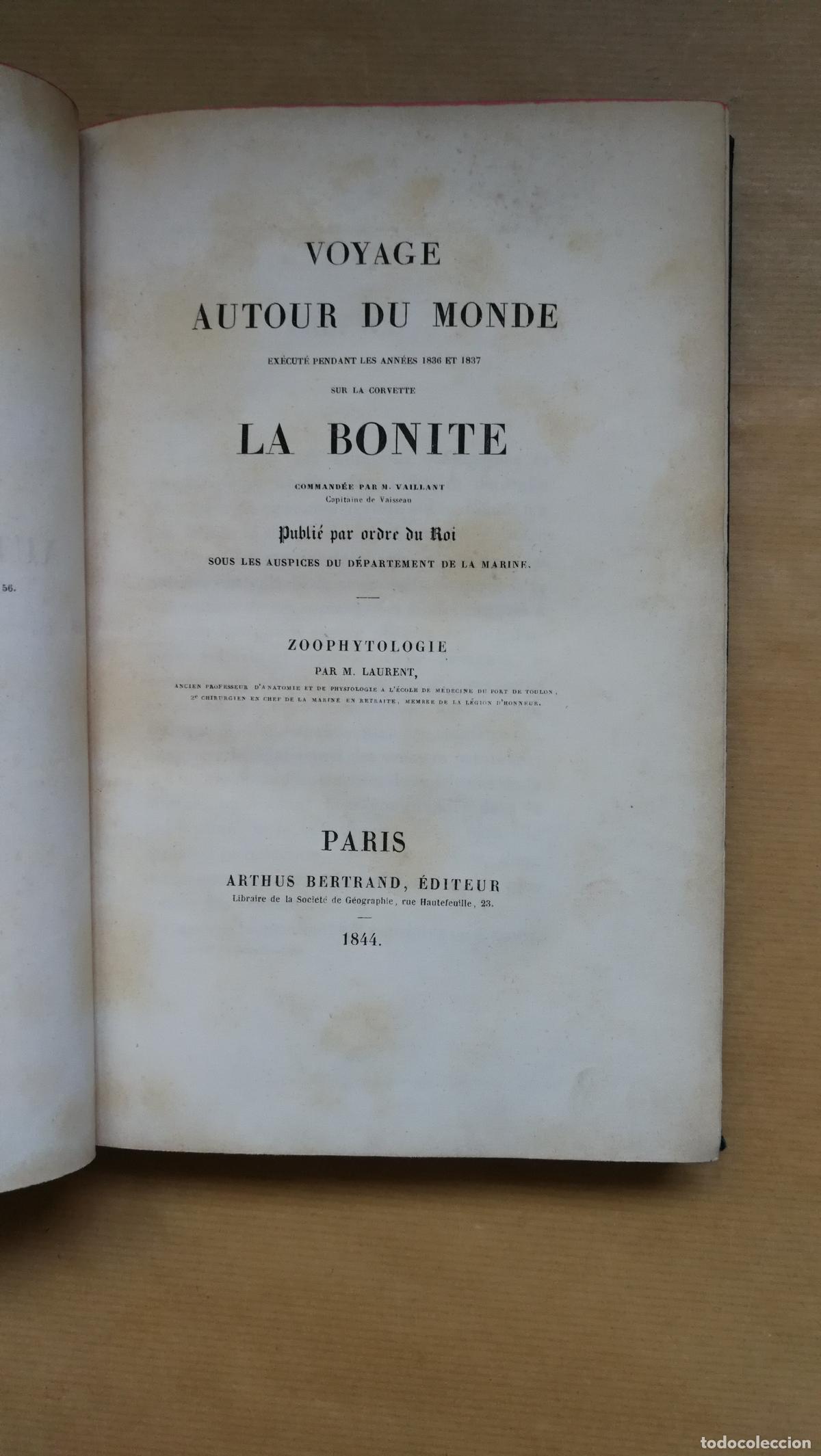 Livros em segunda m&atilde;o: Voyage autour du monde exe&acute;cute&acute; pendant les anne&acute;es 1836 et 1837 sur la corvette La Bonite. Zoophyt