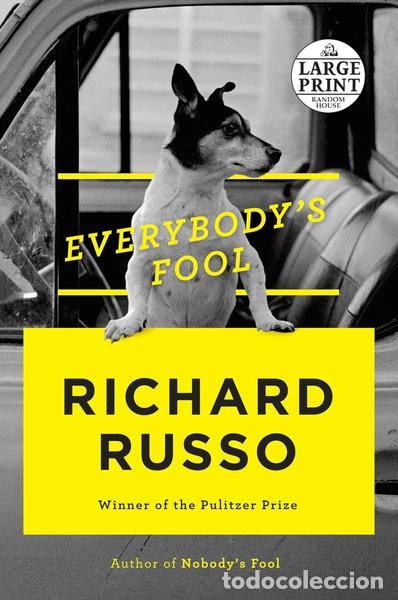 Livros em segunda m&atilde;o: Everybody's Fool- 9780735206038