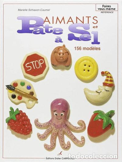 books: Aimants et p&acirc;te &agrave; sel- 9782906962798