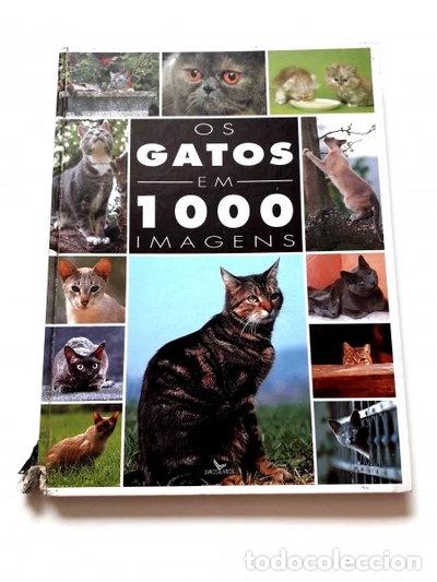 Livros em segunda m&atilde;o: Os Gatos em 1000 Imagens- 9789728138325