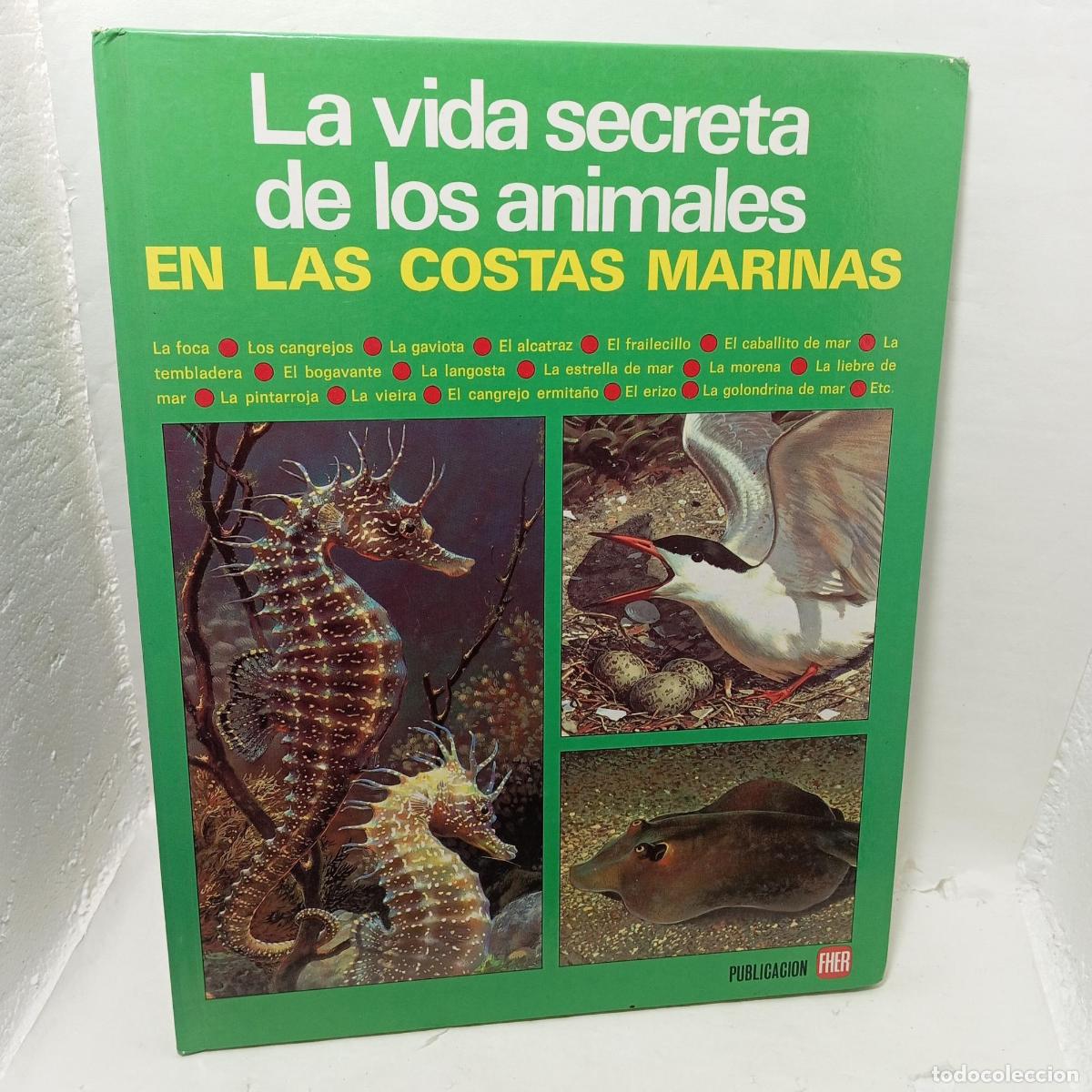 B&uuml;cher: LA VIDA SECRETA DE LOS ANIMALES EN LAS COSTAS MARINAS - Charles Roux