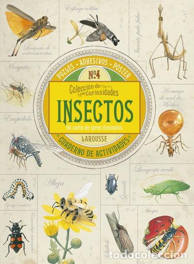 Livros em segunda m&atilde;o: Colecci&oacute;n de curiosidades. Insectos- 9788416641697
