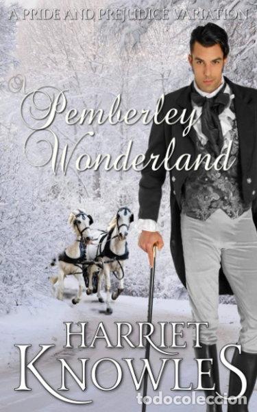 Libros: A Pemberley Wonderland- 9798566468075