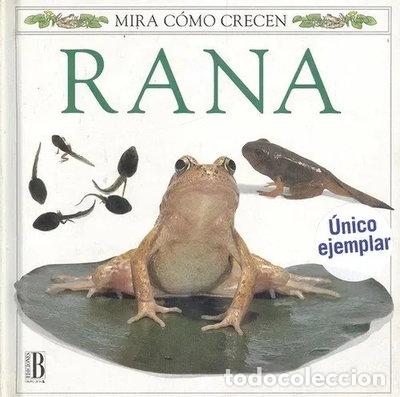 Libri di seconda mano: Rana (9788440637499)