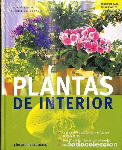 Libros: Plantas de interior- 9788467206623