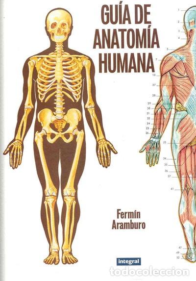 Libros: Gu&iacute;a de anatom&iacute;a humana- 9788479013479