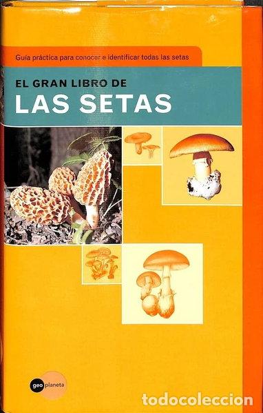 Libros: El gran libro de las setas- 9788408027478