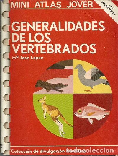 Livros em segunda m&atilde;o: Generalidades de los vertebrados- 9788470931284