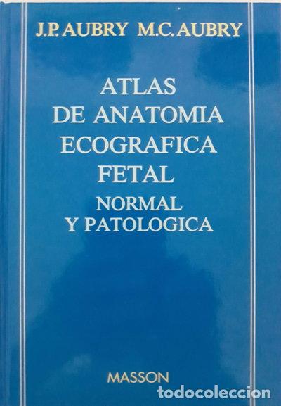 Libri di seconda mano: Atlas de anatom&iacute;a ecogr&aacute;fica fetal normal y patol&oacute;gica- 9788445803967