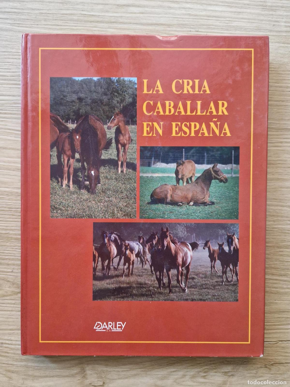 B&uuml;cher: La cr&iacute;a caballar en Espa&ntilde;a - Coord. Julia Garc&iacute;a R&agrave;fols
