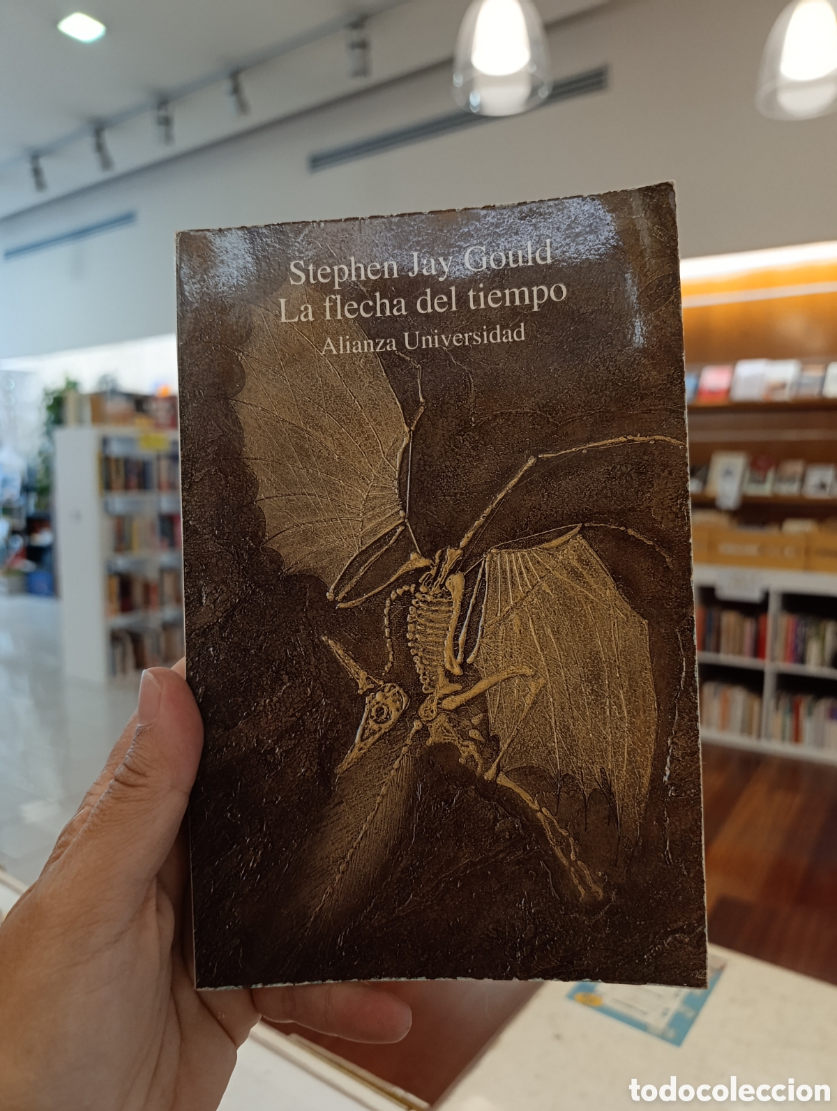 books: LA FLECHA DEL TIEMPO - STEPHEN JAY GOULD - ALIANZA UNIVERSIDAD 1992