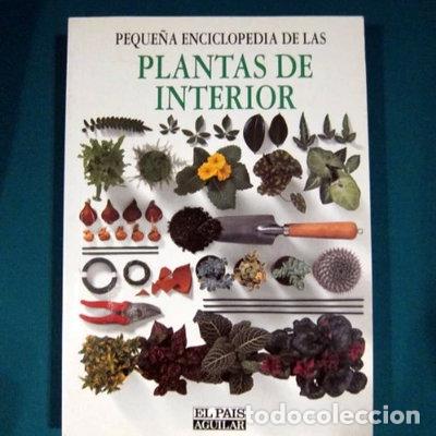 Libri di seconda mano: Plantas de interior- 9788403590670