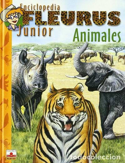 Libri di seconda mano: Animales/ Animals (Enciclopedia Junior)- 9782215052647