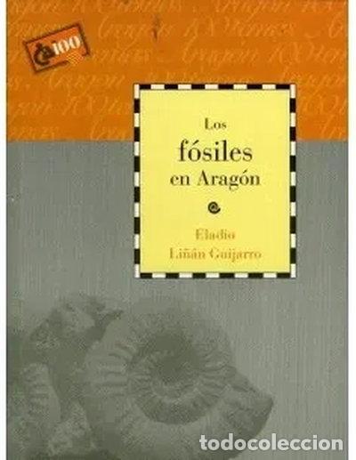 Libros: Los f&oacute;siles en Arag&oacute;n- 9788488305923