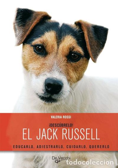Libri di seconda mano: El jack russell, desc&uacute;brelo!- 9788431540074