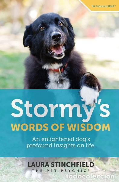 Libros: Stormy's Words of Wisdom- 9781733343701
