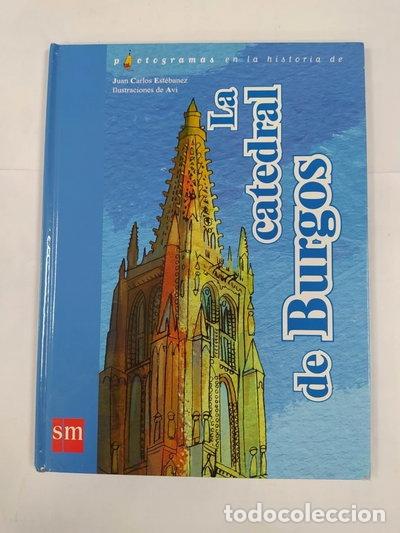 Livros em segunda m&atilde;o: Pictogramas en la historia de La catedral de Burgos- 8435240501567