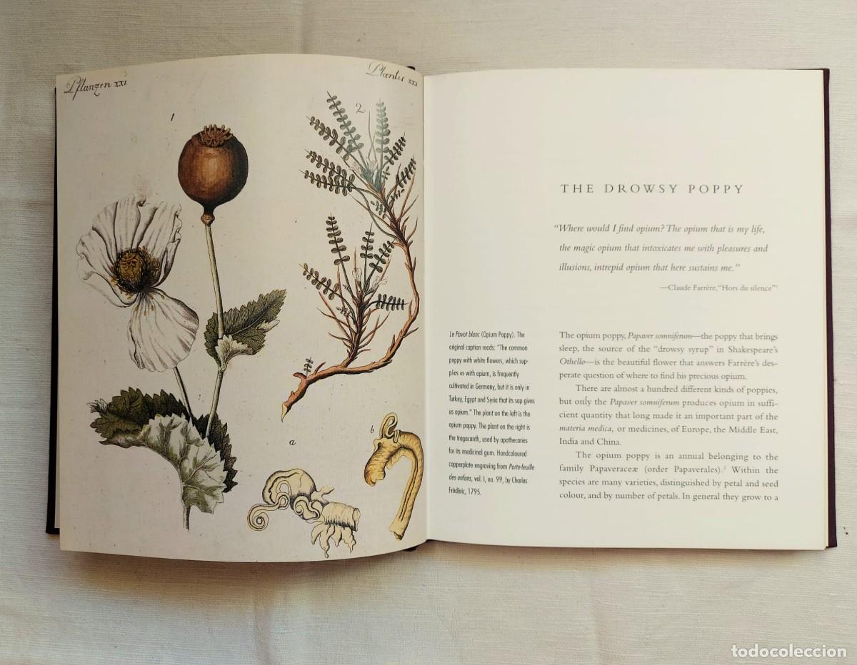 Libros: libro Opium, de B. Hodgson - Foto 9