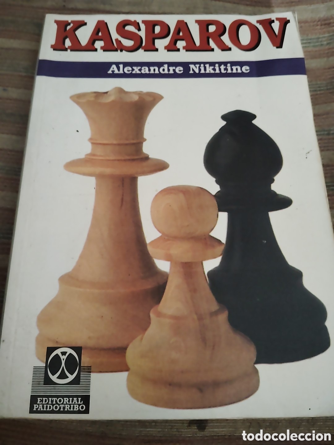 Libros: Kasp&aacute;rov por Alexandre Nikitika