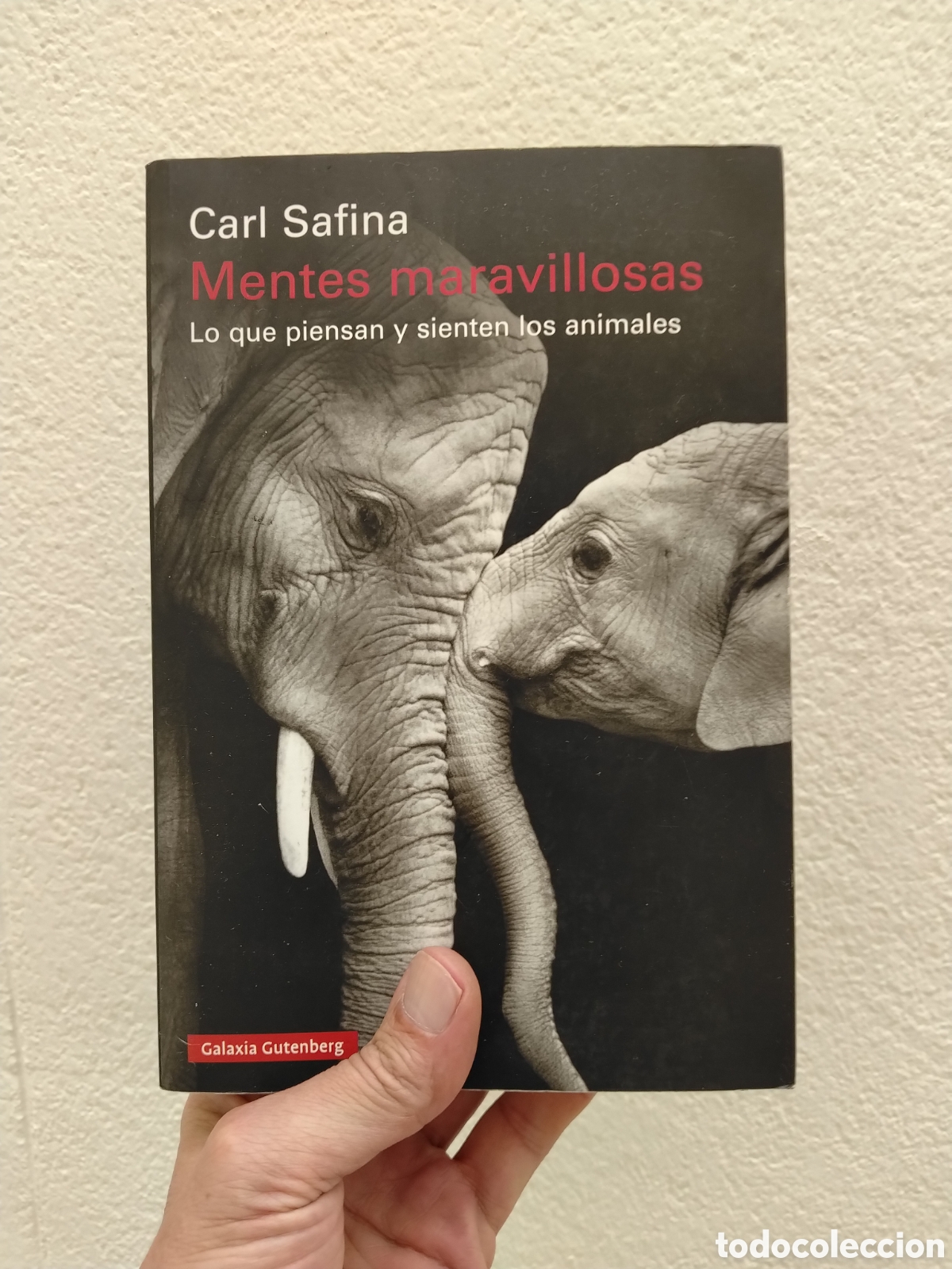 Libri di seconda mano: MENTES MARAVILLOSAS - CARL SAFINA