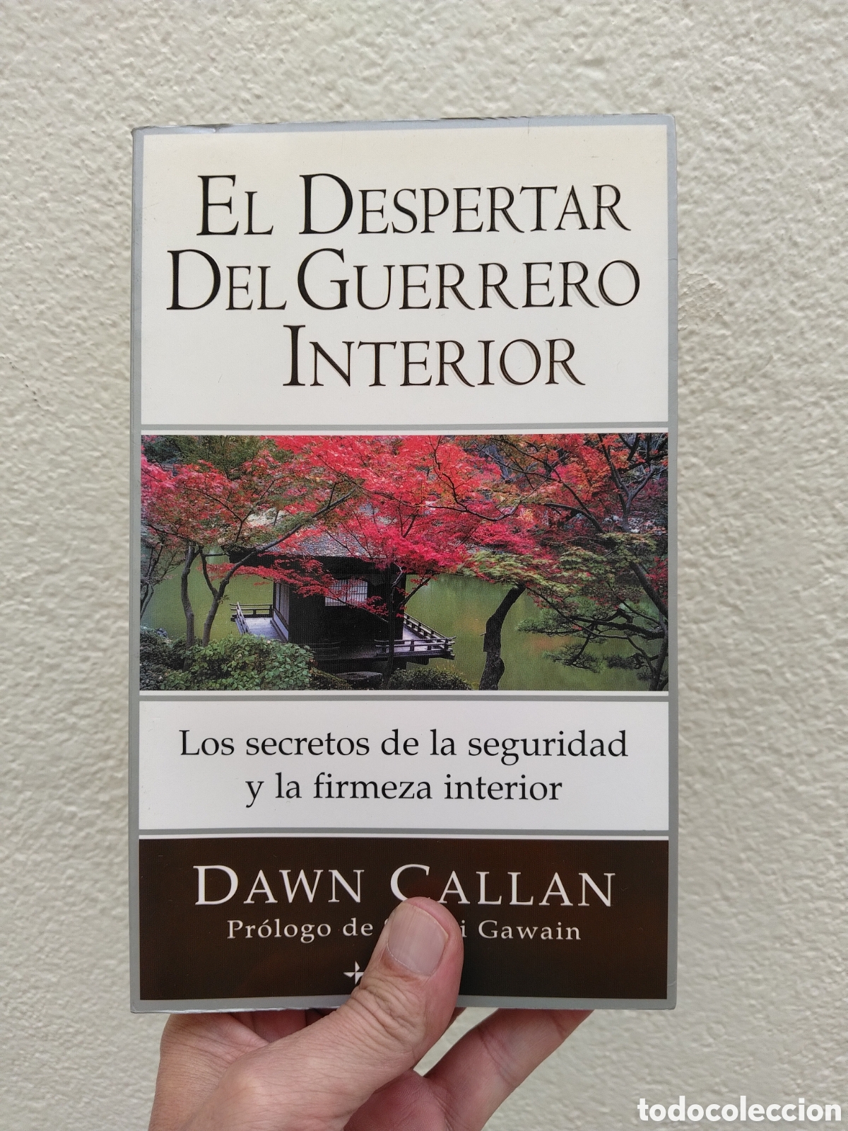 Livros em segunda m&atilde;o: EL DESPERTAR DEL GUERRERO INTERIOR LOS SECRETOS DE LA SEGURIDAD Y LA FIRMEZA INTERIOR DAWN CALLAN