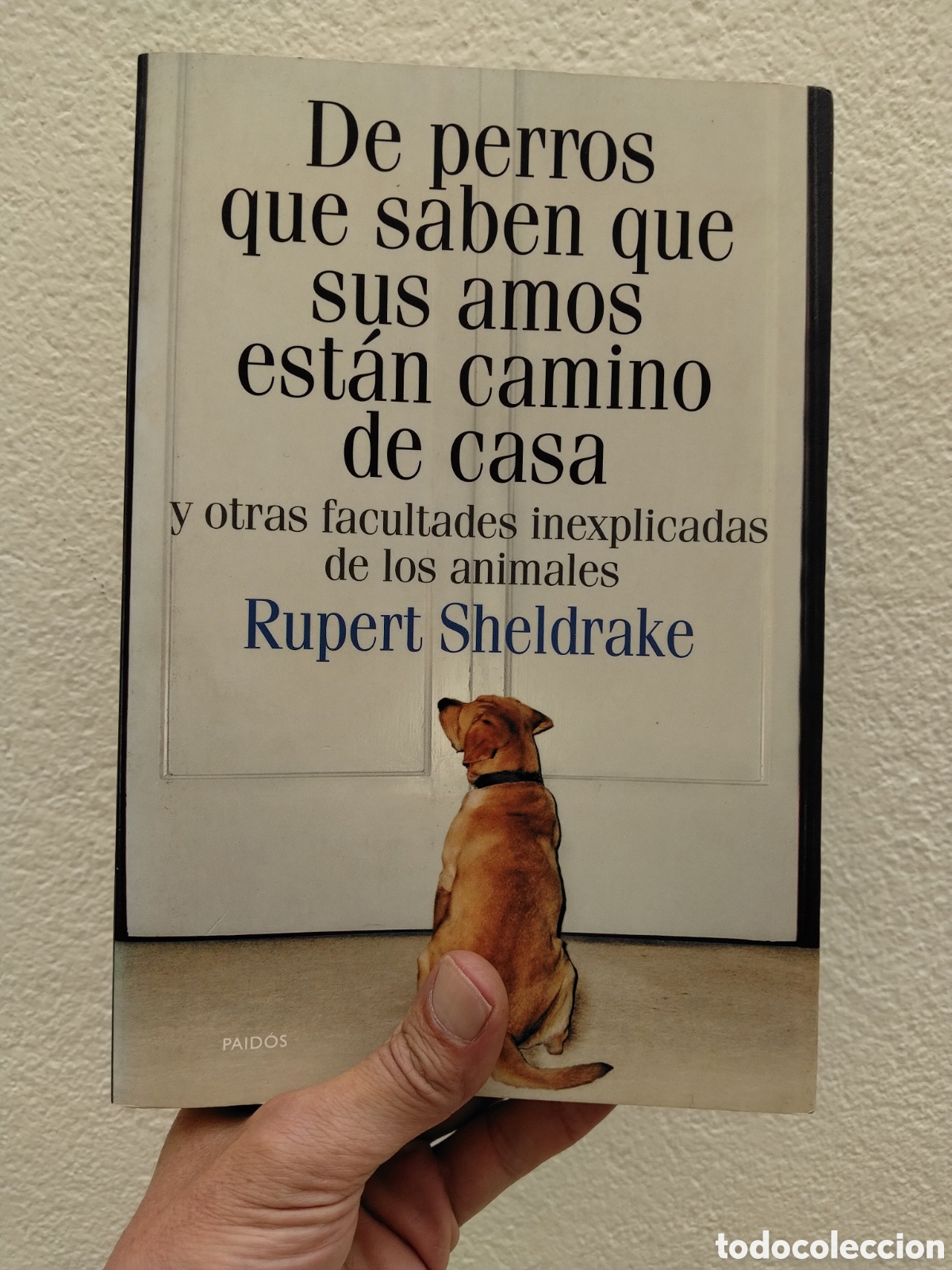 Libros: DE PERROS QUE SABEN QUE SUS AMOS EST&Aacute;N CAMINO DE CASA - RUPERT SHELDRAKE