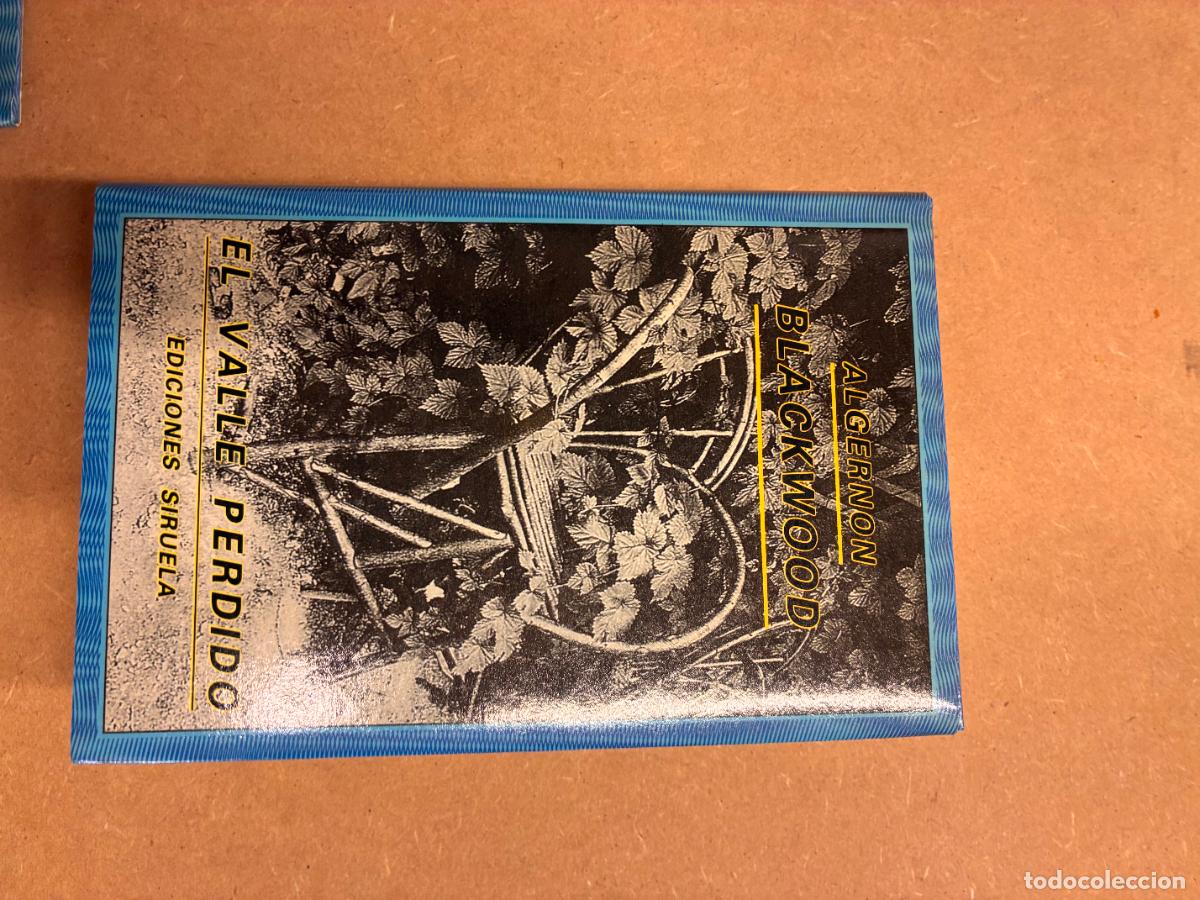 Libros: EL VALLE PERDIDO. - ALGERNON BLACKWOOD