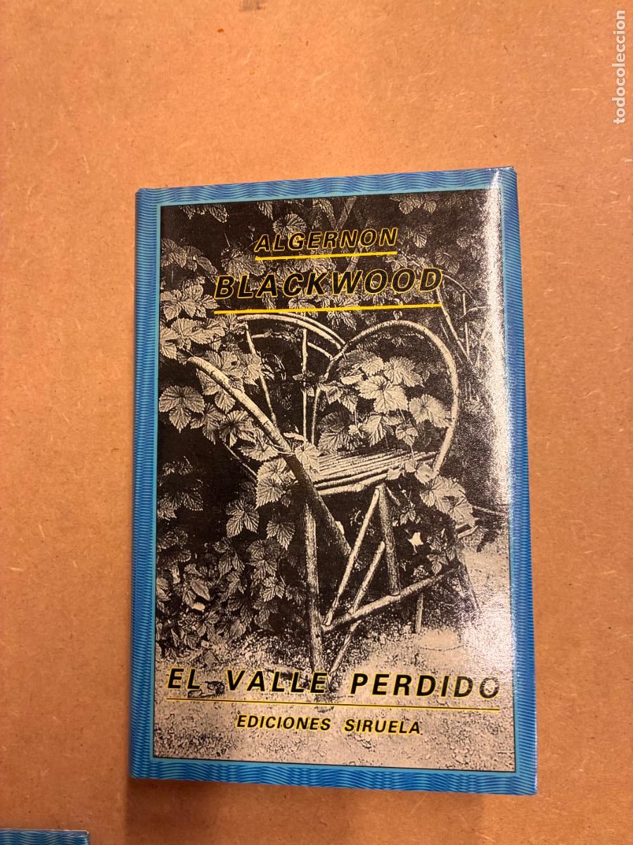 Livres: EL VALLE PERDIDO. - ALGERNON BLACKWOOD